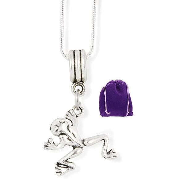Frog (One Back Leg Higher Than The Other) Necklace - Picture 1 of 4